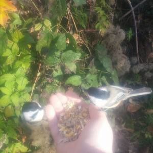 Meet your Posher, Conner